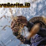 Kopdes Merah Putih Diharapkan Beriringan dengan Koperasi Petani