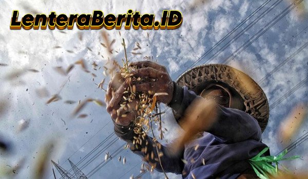 Kopdes Merah Putih Diharapkan Beriringan dengan Koperasi Petani